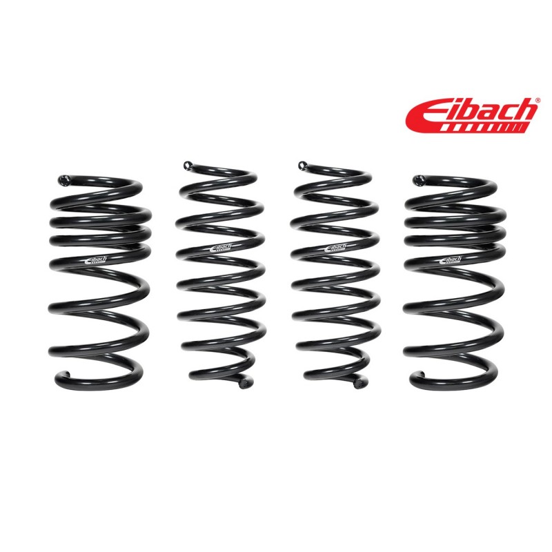 Eibach lowering springs (240Z 260Z)
